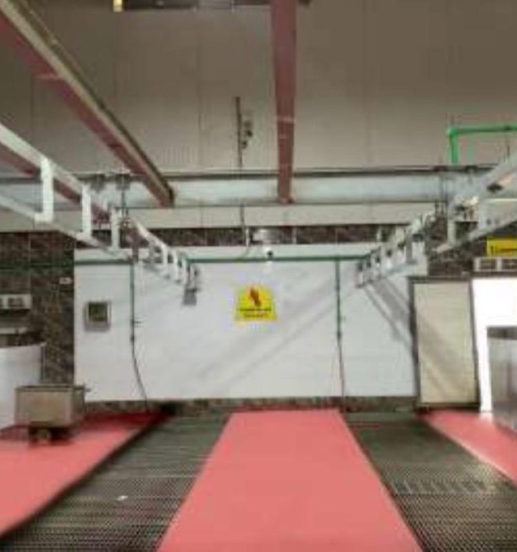 WhatsApp Image 2026-02-10 at 10.11.26 AM11