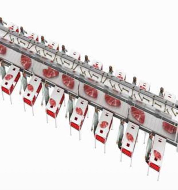 WhatsApp Image 2026-02-10 at 10.11.26 AM55